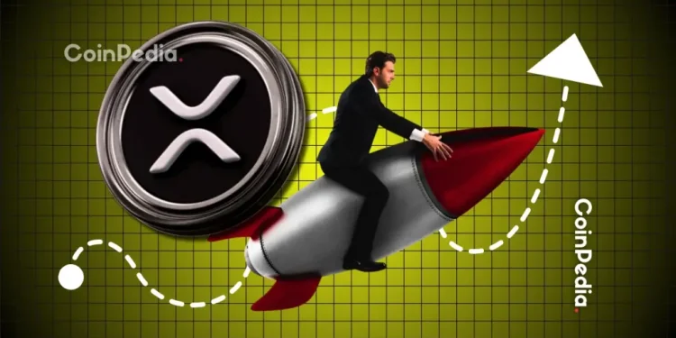 XRP Price Today Drops Below $3 After $55M Whale Transfer