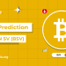 Bitcoin SV Price Prediction 2025, 2026-2030: Will BSV Price Hit $100?